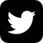 twitter icon